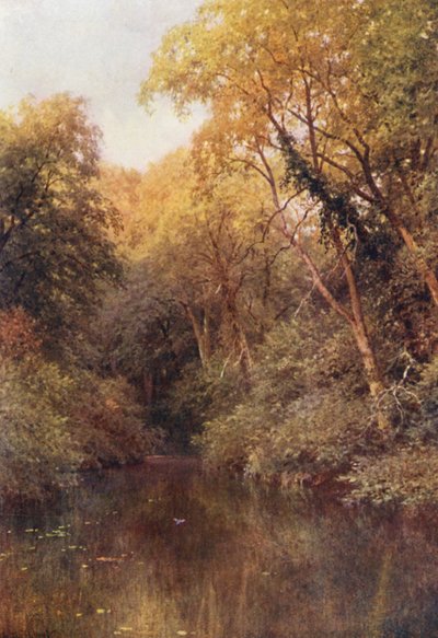 The Silent Pool, Albury by Harold Sutton Palmer