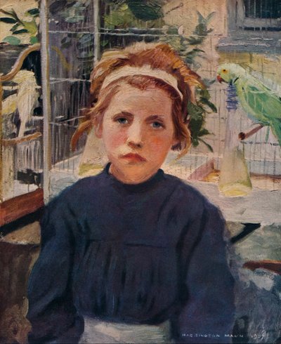 Birdcages by Harrington Mann