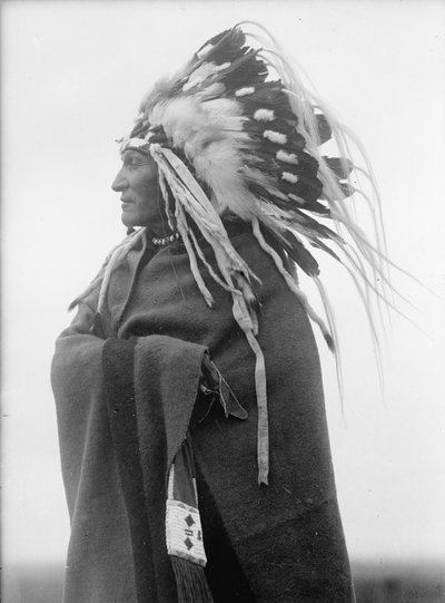 Lazy Boy, Indian Chief by Harris & Ewing