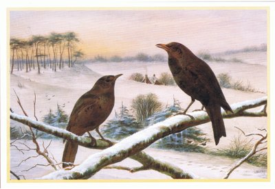 Blackbirds by Harry Bright