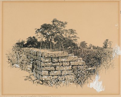 Corner Confederate Burying Ground by Harry Fenn