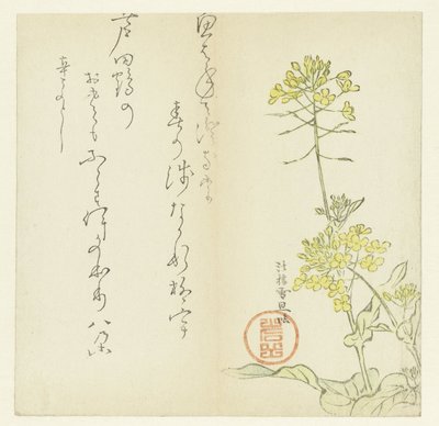 Flowers by Hasegawa Settan