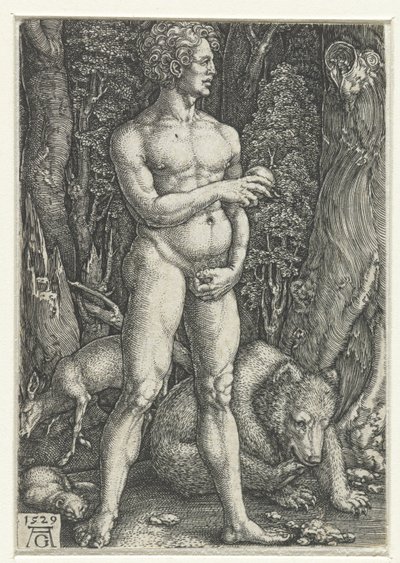 Adam by Heinrich Aldegrever