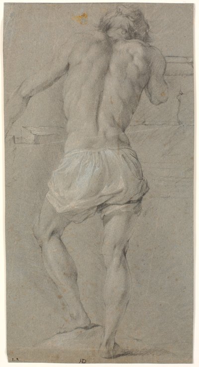 Standing male model, seen from the back by Heinrich Dittmers