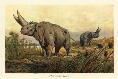 Arsinotherium, extinct genus of paenungulate mammal by Heinrich Harder