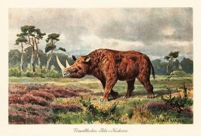 Extinct Woolly Rhinoceros on the Steppes by Heinrich Harder