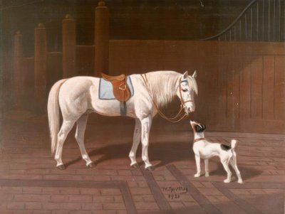 Horse, Gray / after H. Sperling by Heinrich Sperling