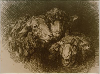 Sheep by Heinrich von Zügel