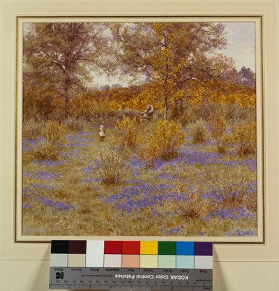 Bluebell Copse by Helen Allingham