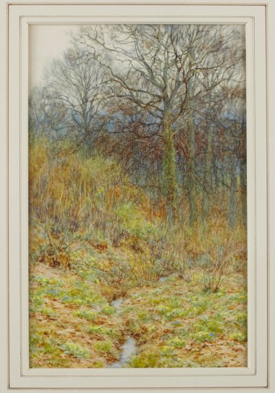 Our Primrose Wood by Helen Allingham