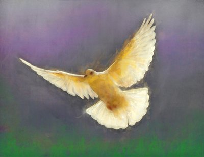 Bringer of Peace, 2019 by Helen White
