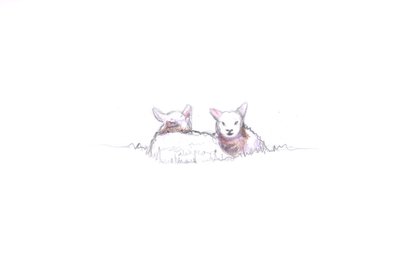 Contented, 2016 by Helen White