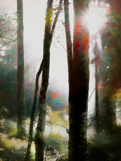 Dare to Believe by Helen White