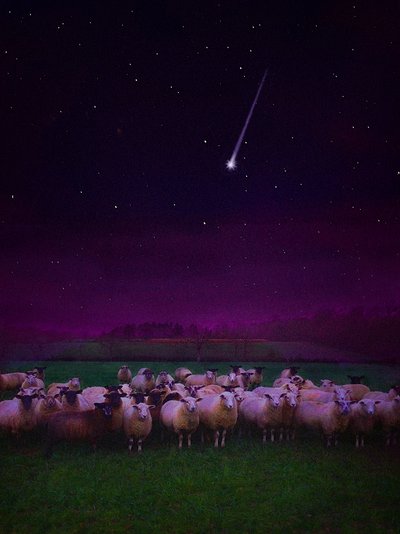 Flock by Night by Helen White