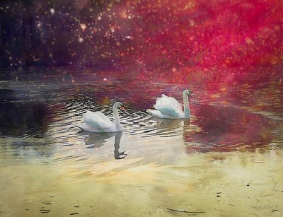 Frosted Lake by Helen White