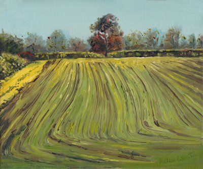 Furrows by Helen White