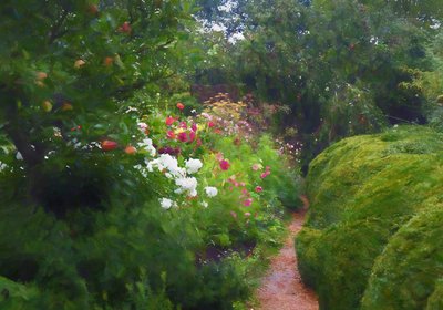 Into the Garden by Helen White