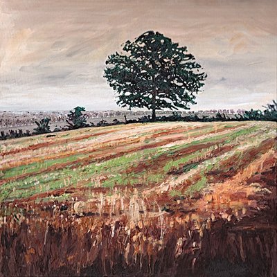 Late Afternoon Field by Helen White