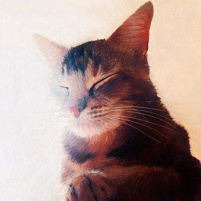Purr-fect Spot by Helen White