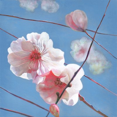 Shining Star by Helen White