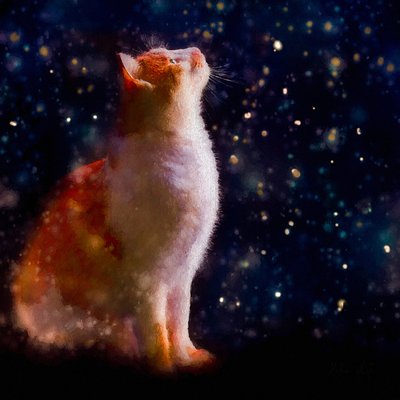 Snow Gazing by Helen White