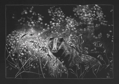 Spring Badger by Helen White