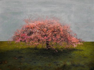 Stand Alone Beauty, 2019 by Helen White
