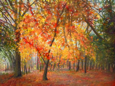 Stand Out Beauty by Helen White
