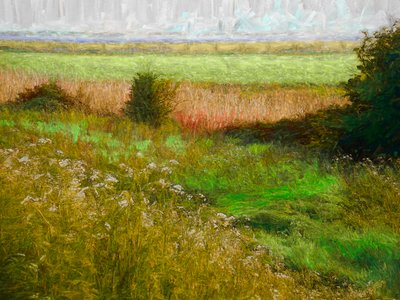 Summer Meadow by Helen White