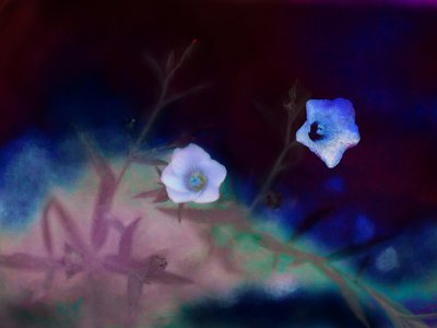 Transience, 2019 by Helen White