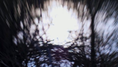 Water tapestry III, 2017 by Helen White