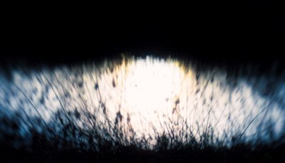 Water tapestry IV, 2017 by Helen White