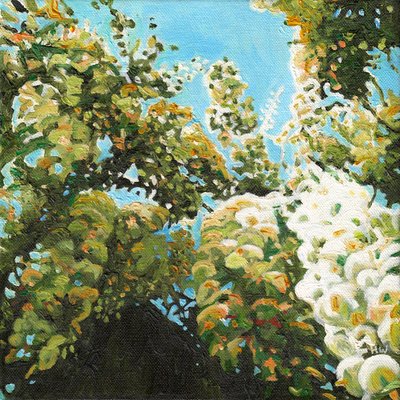 White Wisteria by Helen White