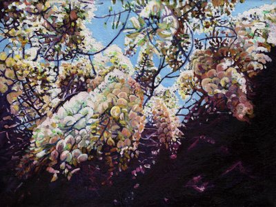 White Wisteria by Helen White