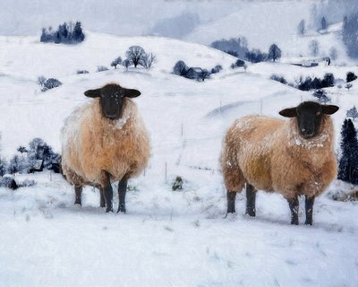 Winter Coats by Helen White