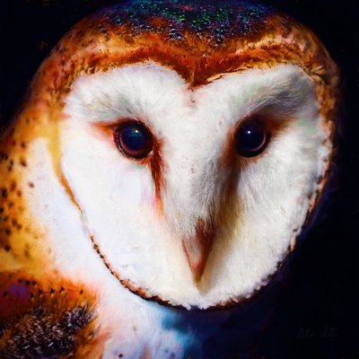 Wisdom in the Dark, 2019 by Helen White