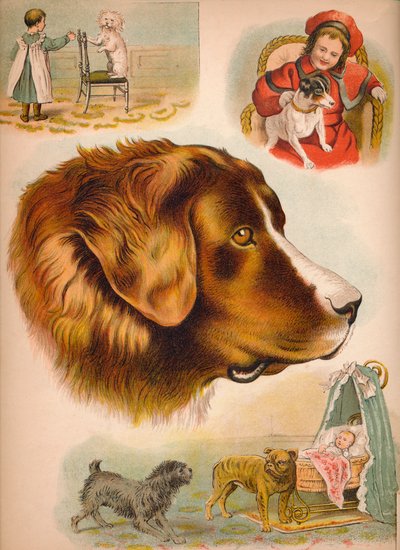 The Dog by Helena J. Maguire