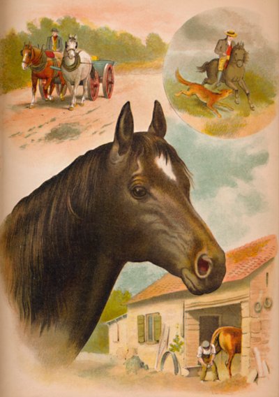 The Horse by Helena J. Maguire