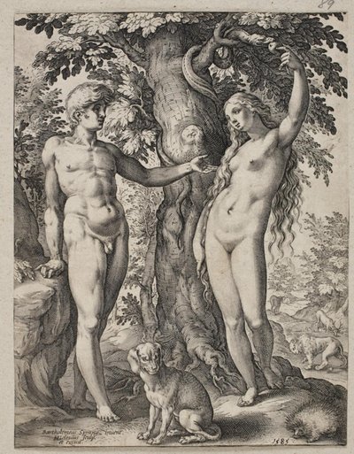 Adam and Eve by Hendrick Goltzius