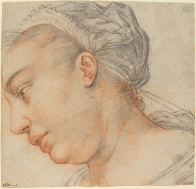 Head of a Young Woman by Hendrik Goltzius