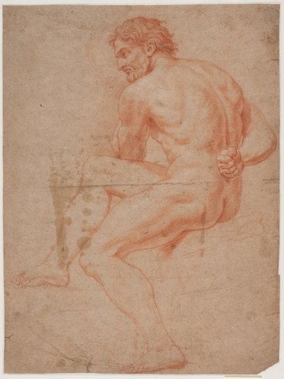 Male Model Study by Hendrik Krock