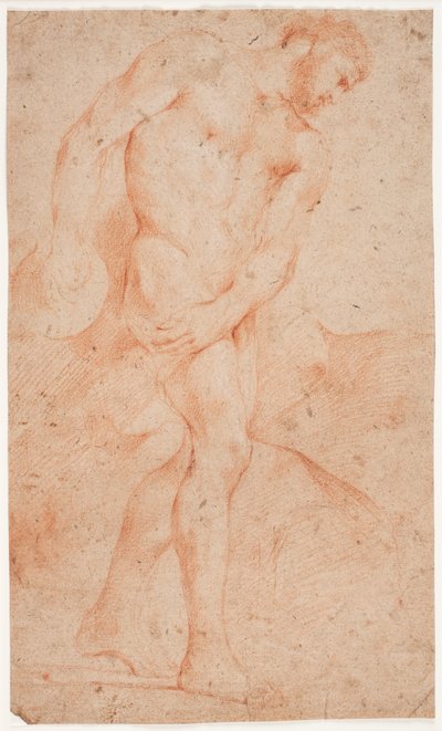 Male model study, standing by Hendrik Krock