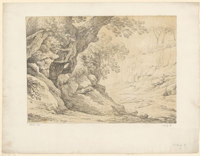 Overgrown Rocks Tentamina Lithographica (series title) Italian Landscapes (series title) by Hendrik Voogd