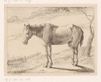 Horse (Various Animals series) by Hendrik Willem Schweickhardt