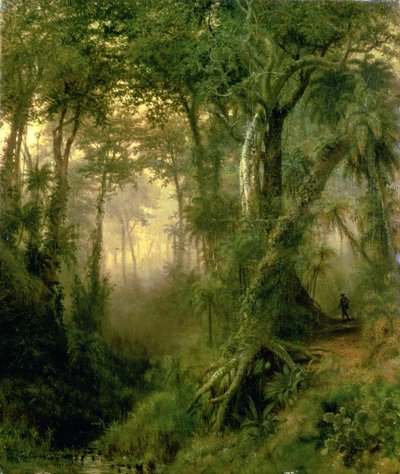 A Hunter in the Cuban Jungle, Sunrise by Henri Cleenewerck