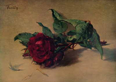 Red Rose by Ignace Henri Jean Fantin Latour