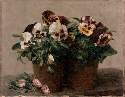 Still Life: Pansies and Daisies by Ignace Henri Jean Fantin Latour