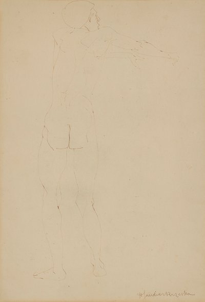 Male Nude by Henri Gaudier Brzeska