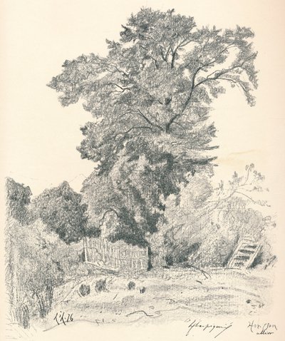 Study of Trees by Henri Joseph Harpignies