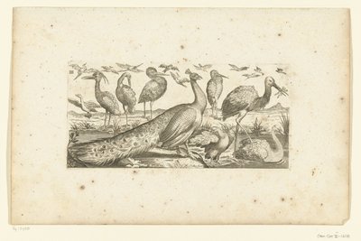 Nineteen Birds (Birds) by Henri Le Roy